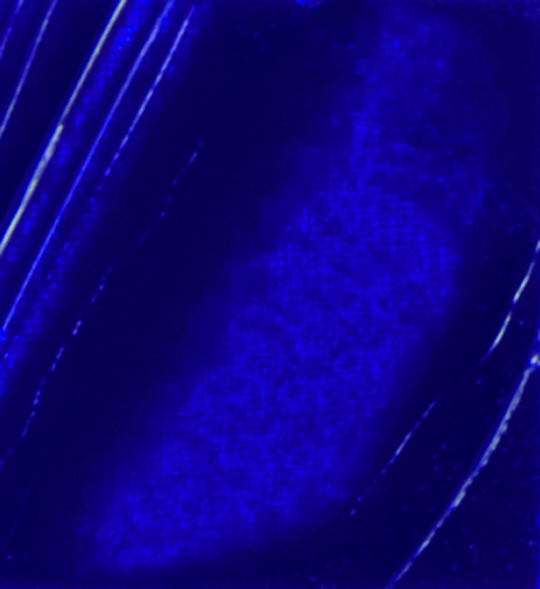 STUDIO XL FINE OIL - OUTREMER BLUE(14)